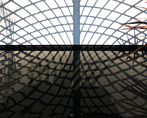 栃木県　洋菓子店